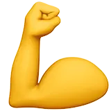 muscle